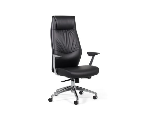 IGNITE CHAIR -160kg Weight Rating 8 Hour Comfort Rating 15 Year Warranty