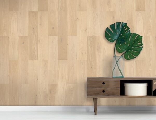 Axiom Acoustics - Image 5
